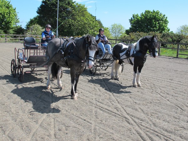 L R Margot Dahn schooling Gibbs Carolyn Skelly schooling Mickey