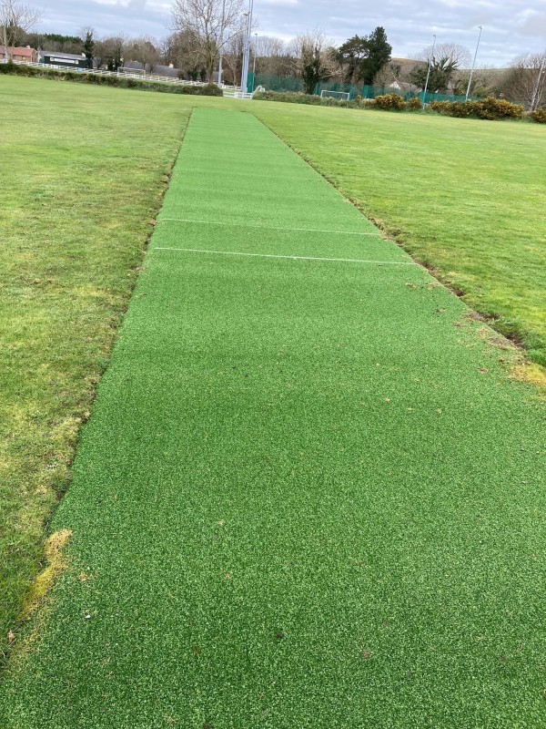 Mullen e Cloie new astroturf wicket