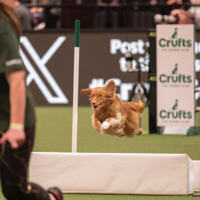 Ella Crufts Mar 24 3
