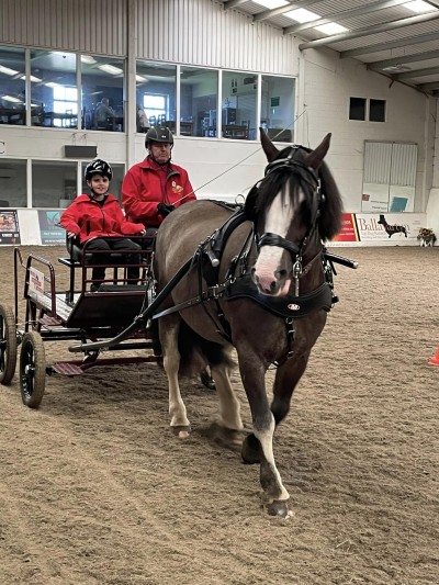Manx Mencap 5 Carriage Driving Manx Mencap 5 Carriage Driving