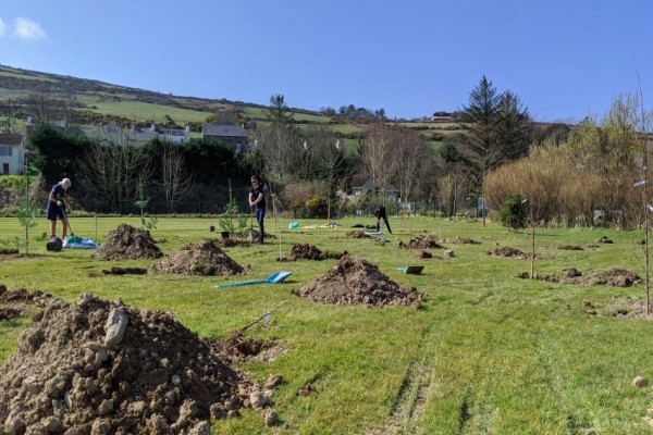The woodland in progress earlier this year The woodland in progress earlier this year