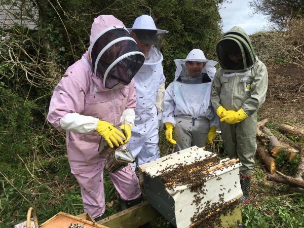 ResizedImageWzYwMCw0NTBd Isle of Man Bee Federation Workshop in action resize